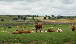 Responsible and sustainable use of parasiticides